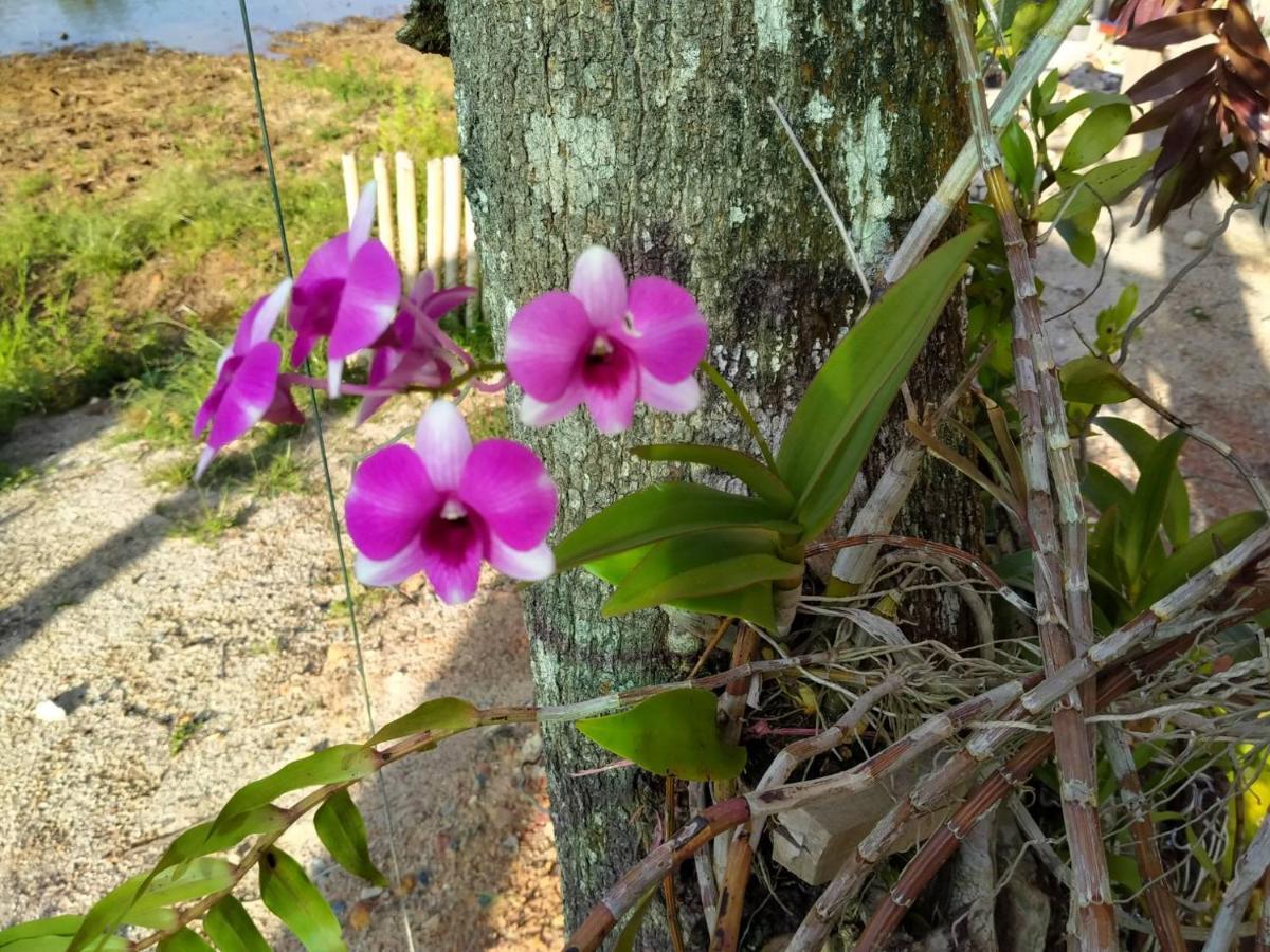 Khum Thong Resort Takuapa ภายนอก รูปภาพ